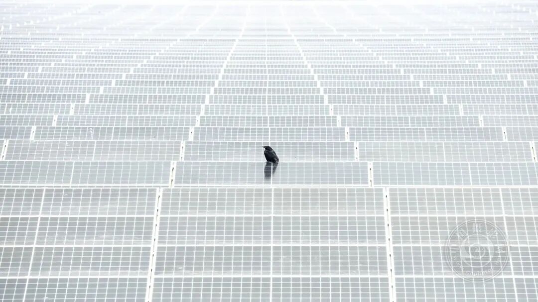 sp汉责视频海报