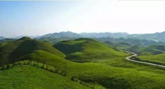 啄木鸟足球队女老板 球队我曾和她聊过一次海报