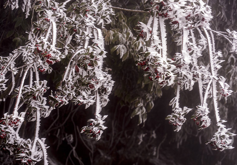 911 切换至运动增强模式海报