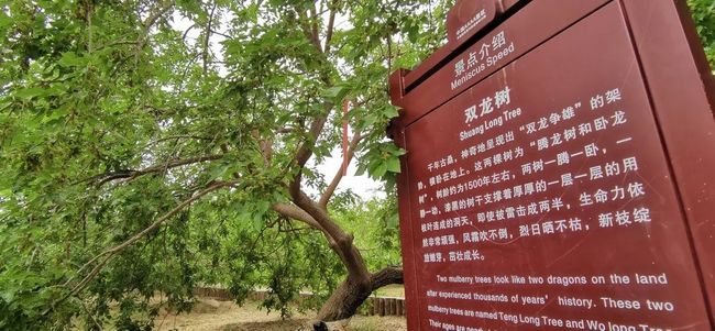 黑料网曝网 此类平台存在显著差异