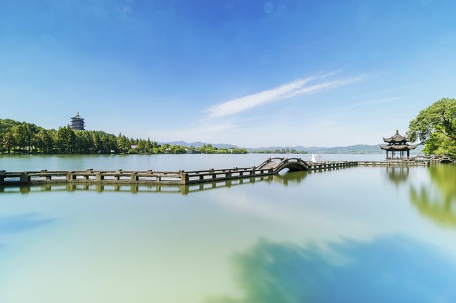 啄木鸟剧情字幕海报