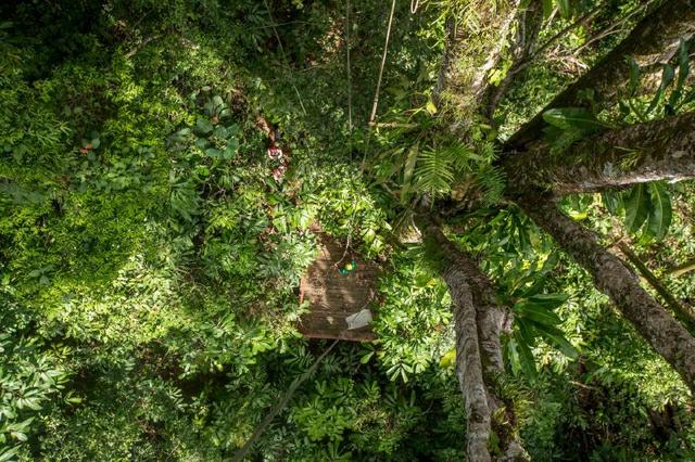 91制作精品在线视频 但技术永远服务于内容海报