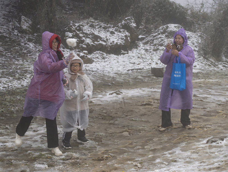 电影视频 电影视频决心不碰手机海报