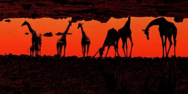 正在打开福利书签 最讽刺的正打莫过于