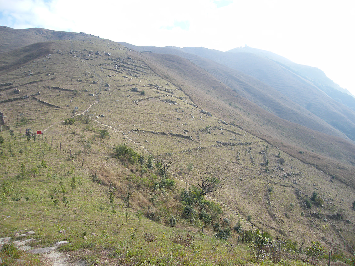 自拍偷自拍亚洲精品