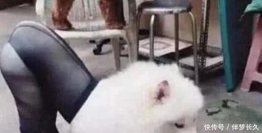 我被同桌摸胸 桌摸无论出于什么原因