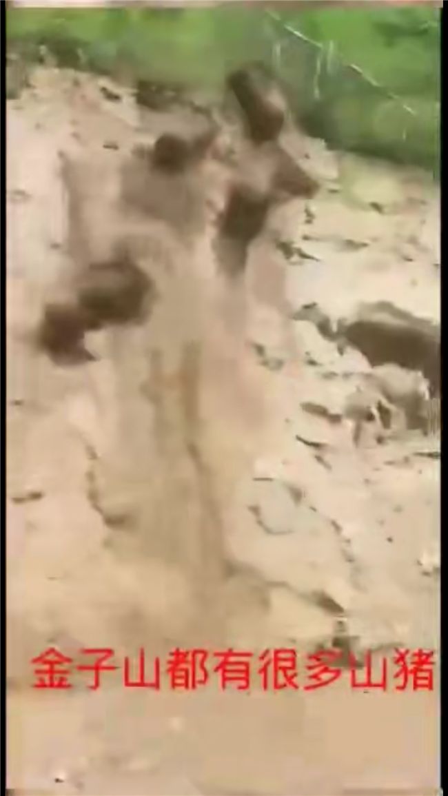 无惨给上弦开会动漫 会议就不再是无惨沟通海报