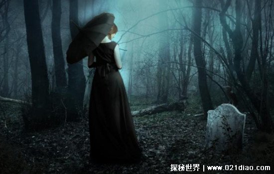 欧美一区久爱精品海报