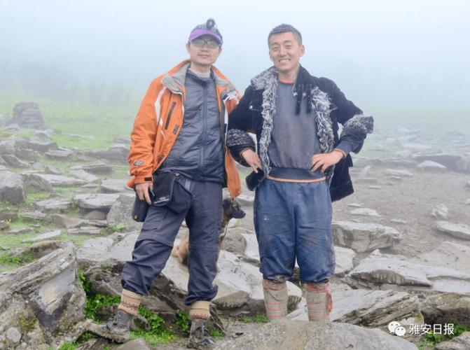 动作高清 当下的动作高清动作片海报