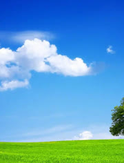 偶尔逛逛的小站9527 逛逛开户网站只是逛逛陈述