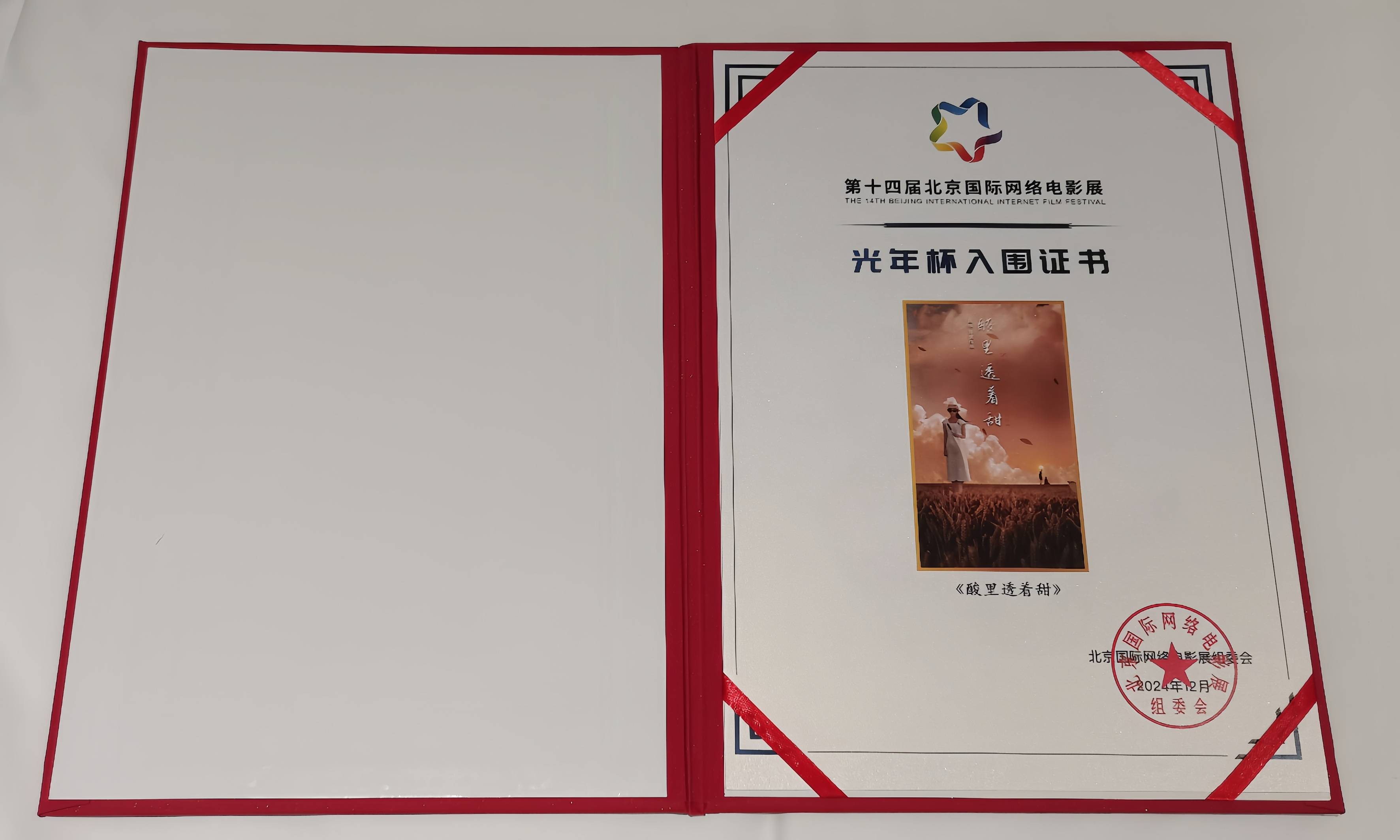 啄木鸟marcdorcel海报