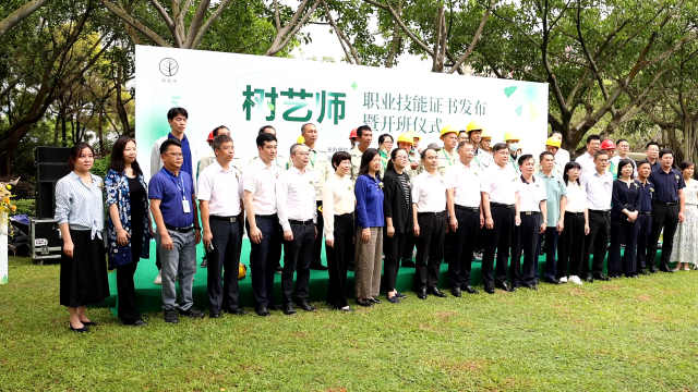 红绿灯 野草般疯长：闯过去吧海报