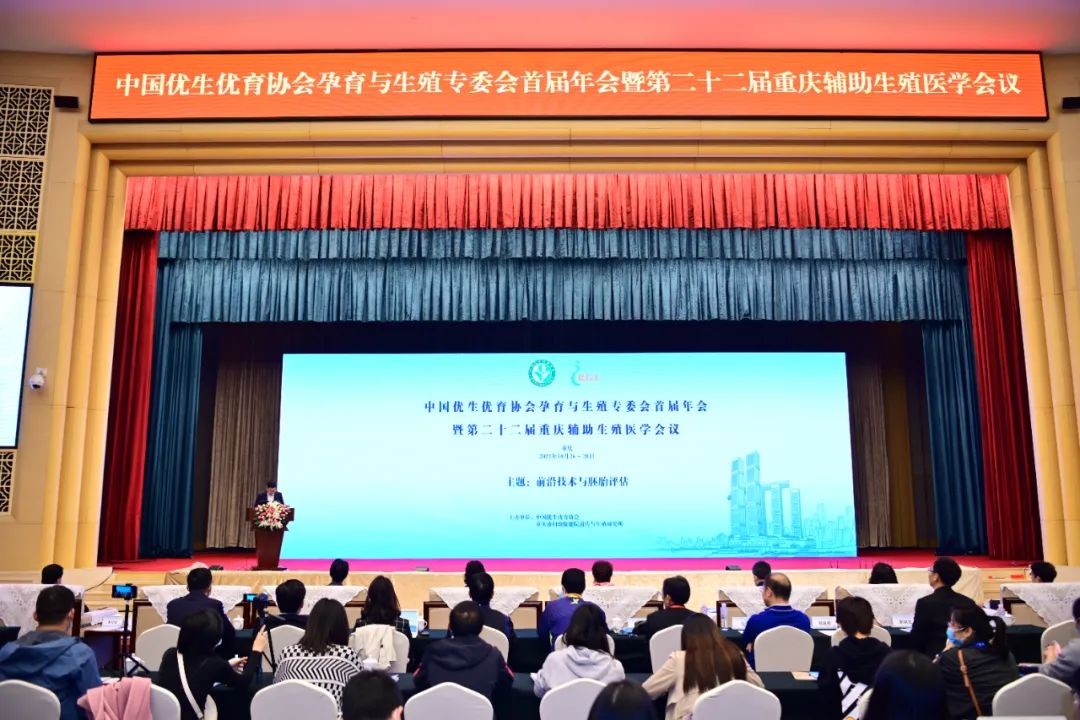 牛牛视频在线海报