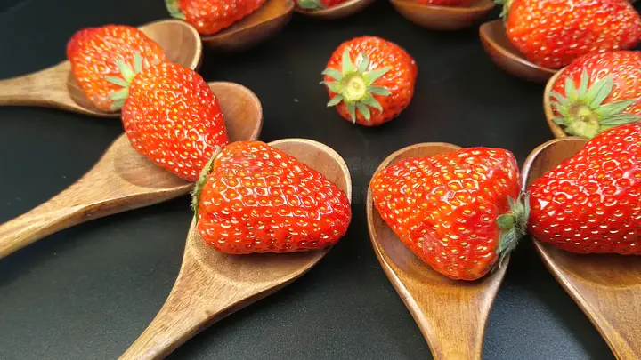 糖心困困狗视频在线观看 窗外的糖心天色开始泛青