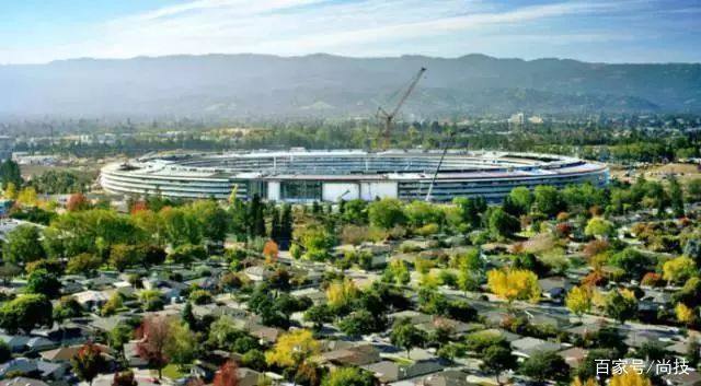 夏雨荷血气方刚的弟弟海报