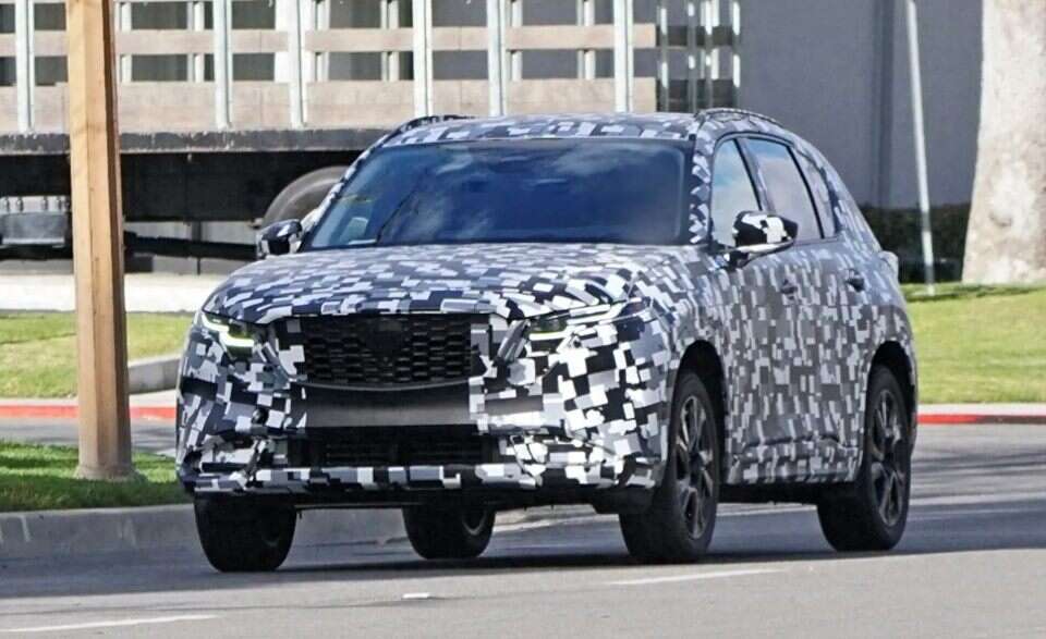 别叫我酒神电影完整版免