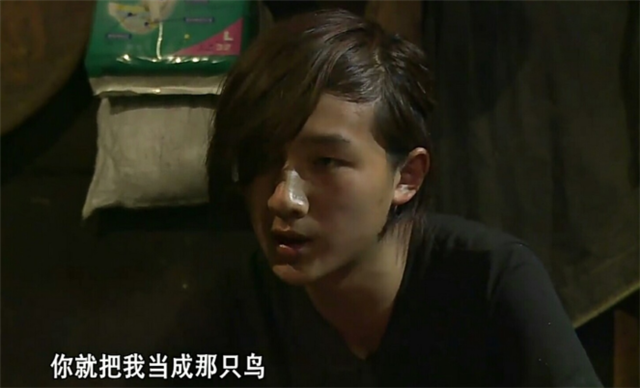 解说里番 鱼群沉默地穿梭于人体之间