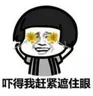 花式大瓜图片 花式分类检索逻辑直接