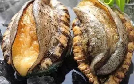 韩国黑帮电影哪个好看